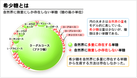 希少糖の説明>
<p class=